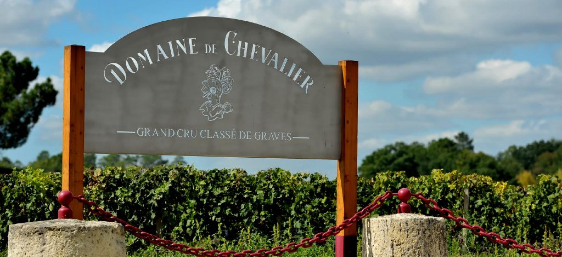 Dom. Chevalier entrée